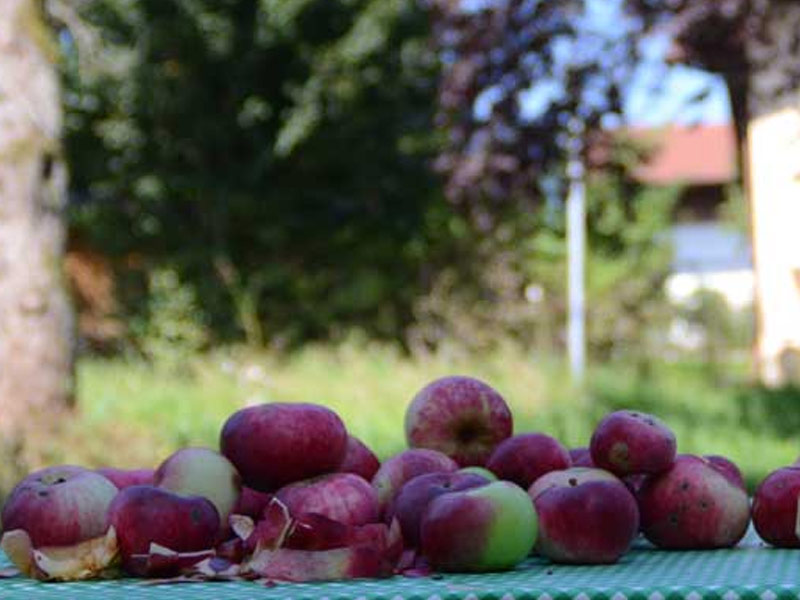 Tisch mit Äpfel